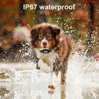Clôture Électronique Invisible Intelligente GPS pour Chien, Système de Dressage Canin Sans Fil à Géofencing Polygone