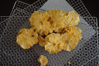 KINKAI Goedkope Warmtepomp 100-7200kg Gember Knoflook Chili Houtdroger Fruit Groente Droogrek Roestvrij Staal