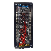 2000D Mono Araç Amfisi 750W/1300W/2000W Çoklu Empedanslı Yüksek SNR Düşük THD Bas Amfisi Otomotiv Subwoofer Ses Sistemi için