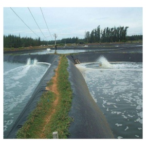 HDPE & LLDPE <span class=keywords><strong>geomembrane</strong></span> Tank cho cá Pond PVC tấm nhựa thiết kế hiện đại EVA chất liệu cho cá trang trại đập bãi rác tôm trang trại - Product Image 2