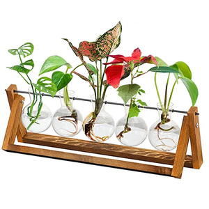 HOT Plant Terrarium With Wooden <b>Stand</b> 5 Bulb Vase Desktop Propagation Stations for Hydroponics Plants Office Home Garden Decor - Product Image 1