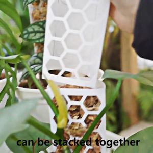 Poteau en plastique transparent empilable moderne pour <span class=keywords><strong>mousse</strong></span> |   Bâtons de soutien pliables et modelables pour les plantes Monstera Pothos - Product Image 5