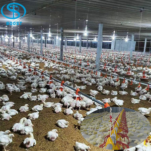 โรงเรือนเลี้ยงไก่แบบอัตโนมัติสำหรับฟาร์มสัตว์ปีก พร้อมแผ่นทำความเย็นและพัดลม สำหรับไก่ไข่ ระบบให้อาหารสัตว์อัตโนมัติ - Product Image 5