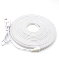 Kit de Lumières Néon LED RVB Dynamiques en Corde DC5V, Extérieur Étanche IP68, Sécable, Flexible, USB Rgbic
