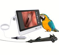 Endoscope vétérinaire portable pour laryngoscope de bronchoscopie de la vessie de l'urètre pour la coloscopie ORL-outil de diagnostic à prix d'usine