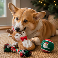 Ensemble de jouets en peluche pour chien de Noël, durable, résistant à la mastication, couineur, balle à nœuds apaisante, jouet d'entretenissement et de dentition pour animaux de compagnie, cadeau de Noël pour chiens