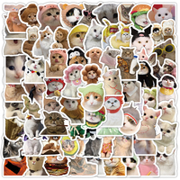 100 pièces/sac chat drôle Meme autocollants personnalisés étanche Kawaii journaux autocollant ordinateur portable voiture mignon Animal Kitty Expressions autocollant