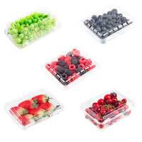 Boîte d'emballage en plastique pour fruits rouges (fraises, cerises) de 120g, 250g, 300g, 400g, 500g, type coquille, personnalisable