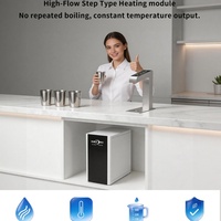 Chauffe-eau sous évier en acier inoxydable, distributeur d'eau chaude électrique, grande capacité, affichage LED, chauffe-eau instantané 12,5 L