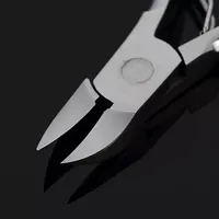 Coupe-ongles professionnel en acier inoxydable à bec d'aigle, outil de coupe des ongles incarnés, coupe-cuticules pour l'entretien des ongles des pieds
