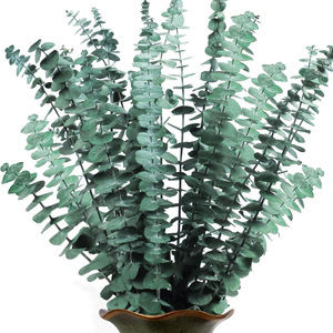12 tiges d'eucalyptus séchées et préservées, 17 pouces, 100% naturelles, feuilles fraîches, plantes suspendues, verdure, décoration de <span class=keywords><strong>douche</strong></span> et de maison, fleurs - Product Image 3