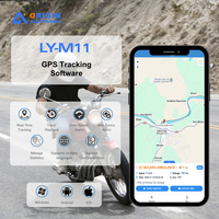 Mini traceur GPS OBD2 4G pour voiture, système antivol et de gestion de flotte