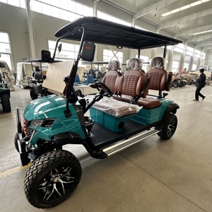 Carrito de Golf Urbano HKBG de 7-8 Plazas con Velocidad de 30-50 km/h y Autonomía de 50-70 km, Incluye Carrito de Golf Estándar, Precios del Producto - Product Image 2