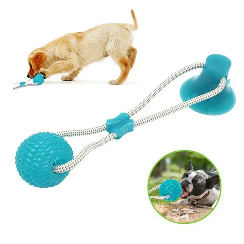 Huisdier Molaire Beet Speelgoed Interactieve Rubber Chew Bal Schoonmaken Tanden Safe Elasticiteit Tpr Zachte Puppy Zuignap Hond Speelgoed XK0026