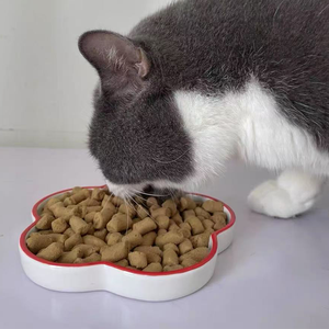 Fabrika toptan yüksek Protein tavşan et dondurularak kurutulmuş kedi maması Premium beslenme Pet gıda - Product Image 1