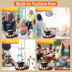 ตู้อบประหยัดพลังงานมี12ช่องเหมาะสำหรับทั้งฟาร์มที่ใช้พลังงานต่ำและฟาร์มแบบดั้งเดิม - Product Image 6