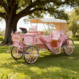 Carroza Real Eléctrica ZOWN para Turismo, Estilo Clásico Retro Victoria, la Más Vendida en Europa, China, Hubei - Product Image 2