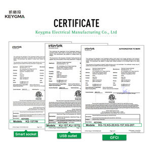 Thông minh Wifi ổ cắm với cổng USB Google Home & Alexa điều khiển bằng giọng nói tuya công nghệ 15A tường cắm 2 AC cửa hàng 125V ETL cho - Product Image 6