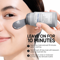 Masque en stick à l'argile volcanique et à l'armoise, marque privée, nettoyage en profondeur, contrôle du sébum, hydratant, masque facial, fabricant en gros