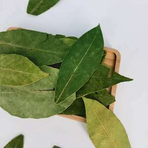 Huaou Vente en gros de feuilles de <span class=keywords><strong>laurier</strong></span>, herbes et épices individuelles, feuilles de <span class=keywords><strong>laurier</strong></span> séchées à bas <span class=keywords><strong>prix</strong></span>, feuilles de <span class=keywords><strong>laurier</strong></span> vertes - Product Image 2
