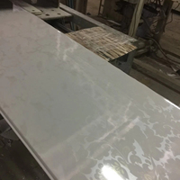 Plafond en PVC de Dubaï Design 250x7.5mm Panneau blanc brillant pour les Philippines Bande de ventilation Panneau ignifuge Fonction Easy Grid