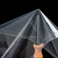 Pochette/sac transparent à cornue Sac d'emballage sous vide à haute température et film SANS BPA