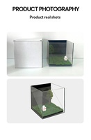 Projecteur holographique 3D pour animaux de compagnie avec boîtier en plastique, compagnon éternel, décoration d'intérieur, de Zhejiang
