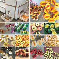 India Pitting Date Jujube Appel Fruitontpitter Steentjes Verwijderaar en Hete Olijf Cerise Ontpitter Machine