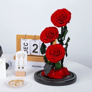 Prince Premium Sense Caja de regalo hecha a mano Adornos Rosa roja Cubierta de vidrio Día de San Valentín Navidad - Product Image 3