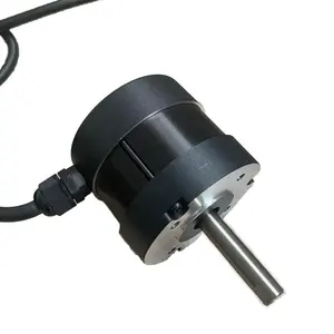 Havalandırma kondenser ve sanitizasyon sistemi için 12v 18v 24v fırçasız Dc soğutma fanı motorları, güç 50w 100w 200w 500w