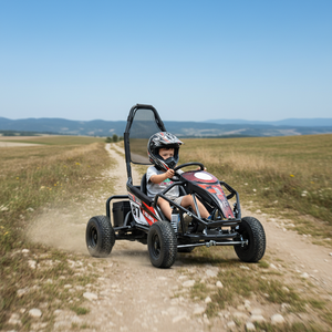 <span class=keywords><strong>Buggy</strong></span> électrique longue portée QIQU 48V 20Ah avec batterie Chilwee interchangeable, pack d'alimentation pour karting - Product Image 1