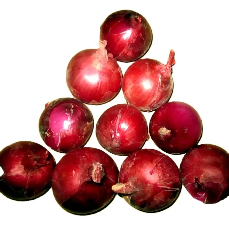 big fresh onion with low price red color yellow color