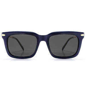 Lunettes <span class=keywords><strong>de</strong></span> <span class=keywords><strong>soleil</strong></span> rectangulaires <span class=keywords><strong>de</strong></span> haute qualité unisexes en acétate et métal, monture intégrale, UV400 polarisées, durables, <span class=keywords><strong>marque</strong></span> SARA, <span class=keywords><strong>grossiste</strong></span> <span class=keywords><strong>de</strong></span> luxe en Chine - Product Image 1