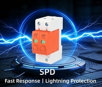 Dispositifs de protection AC/DC personnalisés LEI HAO 2P 3P SPD pour la protection contre la foudre de toute la maison T2 20KA 40KA UC 385V 275V