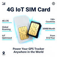Tarjeta SIM IoT Global con Cobertura de Red Mundial, Tarjeta SIM de Datos M2M para Dispositivos de Rastreo GPS y Equipos Inteligentes