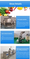 Kleinschalige Semi-Automatische Productielijn Voor Vruchtensap Maken Machine Productie Lline