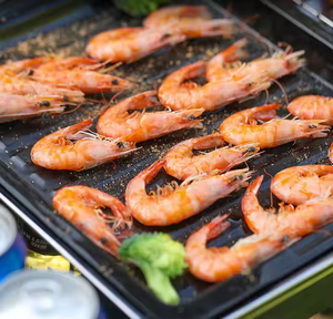 Barbecue à charbon de bois <span class=keywords><strong>portable</strong></span> de style moderne pour l'extérieur en treillis métallique chromé pliable Construction en fer électronique durable - Product Image 6