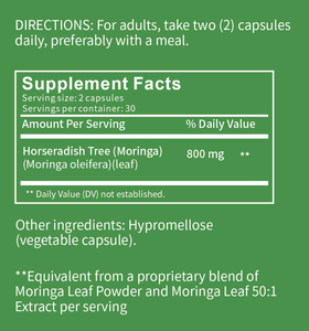 Capsules de Moringa Bio OEM 800mg, poudre de feuilles de Moringa pure, origine unique, pour l'énergie, le métabolisme et le soutien immunitaire - Product Image 5