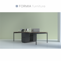 FORMIA Mobilier de bureau moderne Structure en acier et bois Combiné Bureau Personnel Bureau Employé Poste de travail (2 personnes)