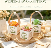 Eco Friendly Mini Kraft Paper Gift Box With Cotton Rope Handle Portable Succulent Plant Packaging Box Wedding Birthday Party