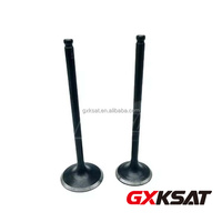GXKSAT Nouveau Kit de soupapes d'admission et d'échappement OEM pour moto, compatible avec les moteurs 250NK CF250 SR250