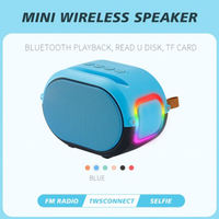 Petit haut-parleur Bluetooth portable, système de sonorisation Bluetooth pour extérieur, multicolore