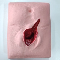 Modelo de entrenamiento de Ciencias Médicas DARHMMY para la práctica de sutura vulvar de obstetricia y ginecología