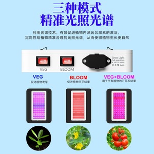 Lampe de culture LED à spectre complet 312 puces avec interrupteur végétation/fleurissement pour panneau d'éclairage de plantes d'intérieur - Product Image 2