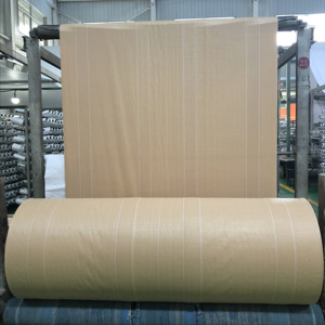 Rotoli/Bobine di Tessuto PP Intrecciato per <span class=keywords><strong>Sacchi</strong></span> Super Grandi / <span class=keywords><strong>Big</strong></span> <span class=keywords><strong>Bag</strong></span> per Imballaggio di Sabbia e Fertilizzanti - Product Image 4