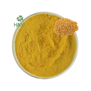 Healthway fornitura naturale giallo estratto di semi di <span class=keywords><strong>senape</strong></span> giallo in <span class=keywords><strong>polvere</strong></span> - Product Image 5