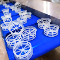 Anneau de dégradateur en plastique Pingxiang Dai-Er 16-76mm pour les systèmes internes de décarbonisation, la séparation du pétrole brut et la récupération du méthanol