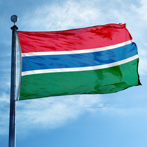 Drapeau national de la Gambie 3x5 pieds, bannière en polyester double face pour événements culturels africains - Product Image 1