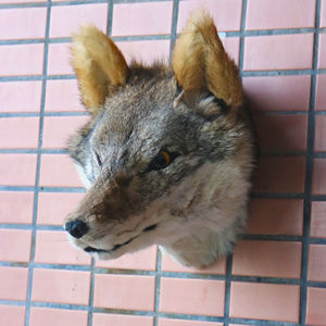 2025 cabeza <span class=keywords><strong>de</strong></span> Lobo realista montaje en pared hecho a mano tamaño Real decoración <span class=keywords><strong>de</strong></span> animales feroces trofeo <span class=keywords><strong>de</strong></span> Vida Silvestre <span class=keywords><strong>de</strong></span> piel Artificial para jubilación <span class=keywords><strong>de</strong></span> Diwali - Product Image 4