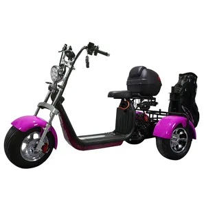Scooter elétrico de auto balanço de três rodas, citycoco golf scooter para adultos